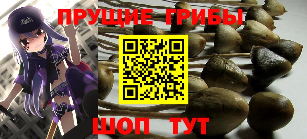 Псилоцибиновые грибы Psilocybe  Вход с VPN  Комсомольск-на-Амуре 